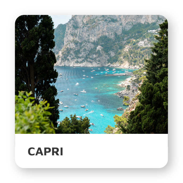 CAPRI_SMALL